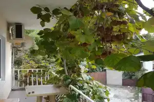 Гостевой дом, Вардане