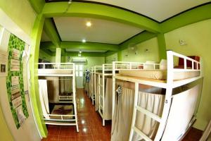 Alena Dorm Room, Пхи Пхи