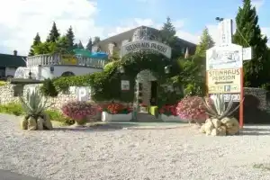 Steinhaus Pension, Кестхей