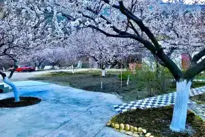 Гостевой дом, Шамилькала