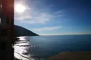 Le Finestre sul mare, Камольи