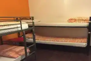 Coconuts Female Hostel, Рим