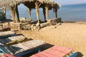 Blue Bus Camp, Нувейба