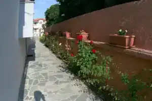 Mare D'Oro, Сарти