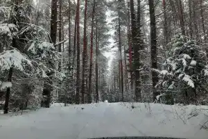 Рыбацкий кордон, Чайковский