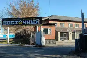 Гостиница «Восточный», Мамоны