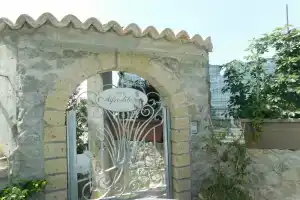 Allison B&b, Тропея