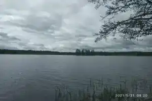 Три Пескаря