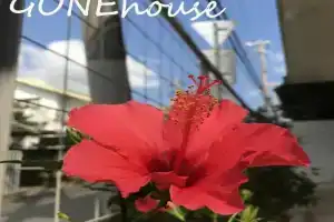 Gone house, Тятан