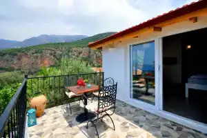 Kaktus, Каш