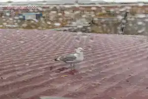 Надежда, Угольные Копи