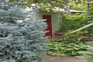 Guest House «Serdolik», Морское