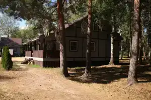 Детский лагерь «Терра Ностра Кэмп» в Шатурском районе