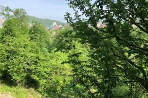Пломбир апартаменты, Сочи
