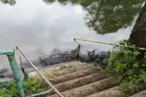 Усадьба «Бивер ресорт» в Крупском районе