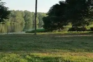 Веселый Роджер