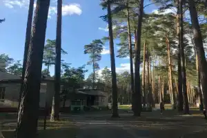 Оздоровительный лагерь Ёлочка