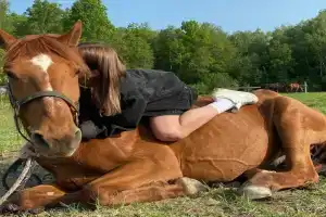 Агроусадьба Бородино