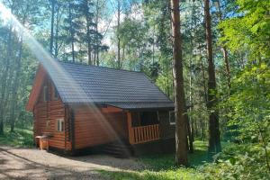 База отдыха «Дивный бор» в Красноярском крае
