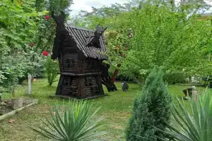 Дельфин, Волна