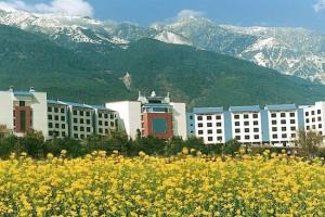 Dali Asian Star Hotel, Дали