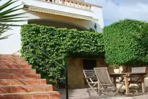 Cala Viñas Seaview, Кала-Майор