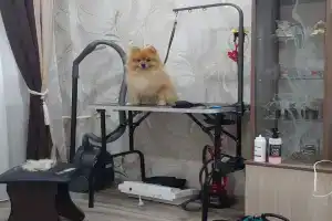 Guesthouse Hamar-Daban Utulik Baikal