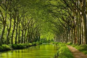 La Chartreuse Du Canal Du Midi, Тулуза