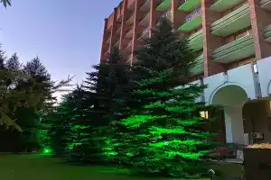Bed and Breakfast in Pine forest, Червишево