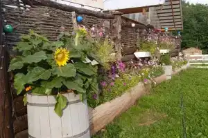База отдыха «Уютный дворик» в Экономе