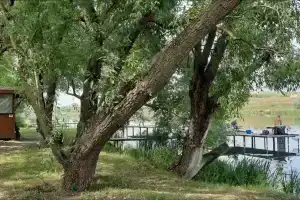 Туристический холдинг 777-999