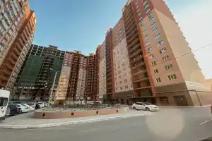 Green Fox, Астрахань