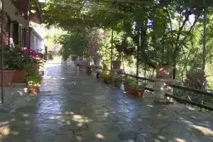 Angela Studios Paxos, Гайос