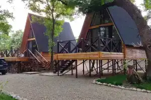 Богатый лес