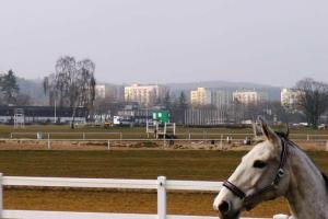 Villa Otium, Сопот