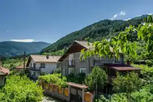 Dariya Guest House, Паничиште