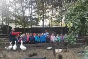 Крестьянская усадьба «Курочка Ряба» в Всеволожском районе