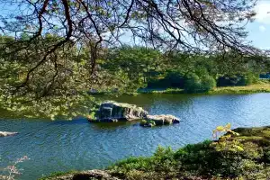 Территория уюта