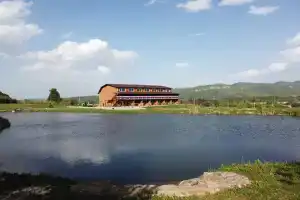 Золотая рыбка, Псебай