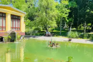 Гостиницы Гостиницы