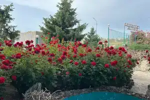 Мини-гостиница «Петровская пристань», Чолпон-Ата