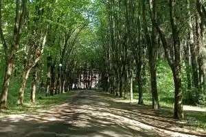 Новые Горки, Королёв