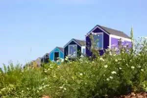 Территория отдыха «Лисья Гора» в Новгородской области