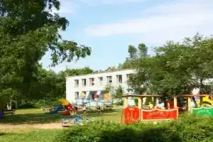 Чайка, Зеленогорск