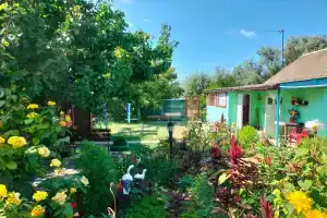 Центральная 68