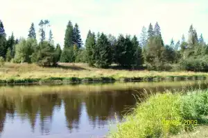 Митинский детский туберкулезный санаторий, Торжок