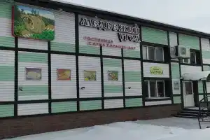 Гостевой дом «Медвежий угол», Новобурейский