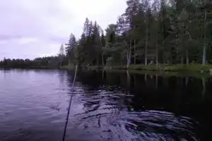 Сегозерогид, Паданы