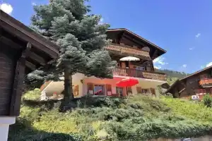 Wasserhügeli, Фиш