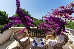 Pupa - Nice Family Apartments - A1 Dora, Petrcane